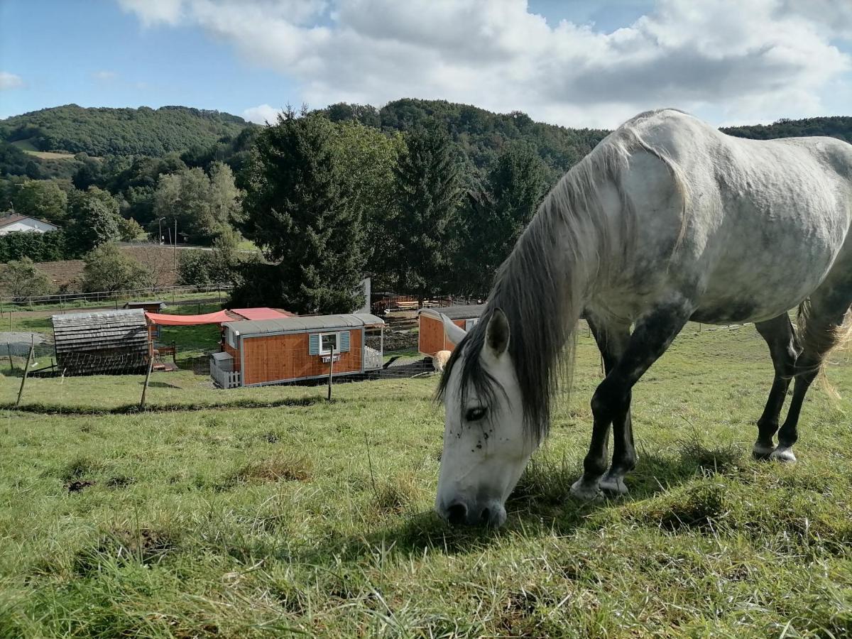 Zuruck Zur Natur - Urlaub Im Zirkuswagen, Sommeratelier Oder Schindelwagen Adenbach Εξωτερικό φωτογραφία