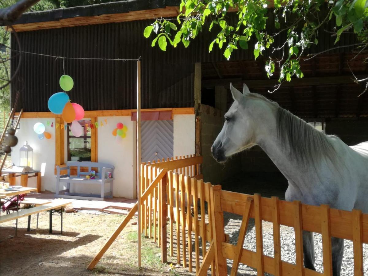 Zuruck Zur Natur - Urlaub Im Zirkuswagen, Sommeratelier Oder Schindelwagen Adenbach Εξωτερικό φωτογραφία